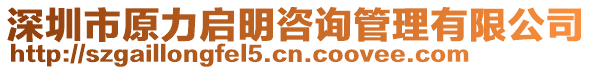 深圳市原力啟明咨詢管理有限公司