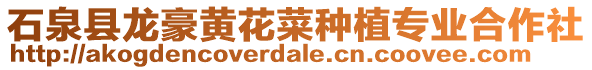 石泉縣龍豪黃花菜種植專業(yè)合作社