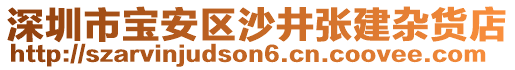 深圳市寶安區(qū)沙井張建雜貨店
