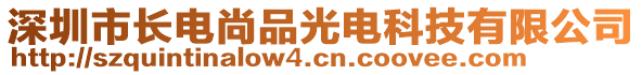 深圳市長電尚品光電科技有限公司