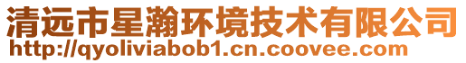 清遠(yuǎn)市星瀚環(huán)境技術(shù)有限公司