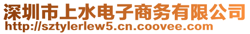 深圳市上水電子商務(wù)有限公司