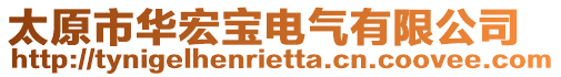 太原市华宏宝电气有限公司