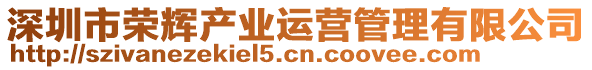 深圳市榮輝產(chǎn)業(yè)運營管理有限公司