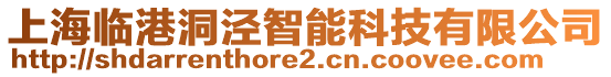 上海臨港洞涇智能科技有限公司
