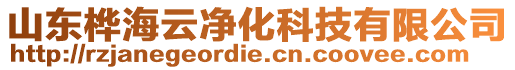 山东桦海云净化科技有限公司