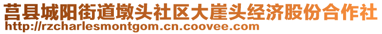 莒县城阳街道墩头社区大崖头经济股份合作社