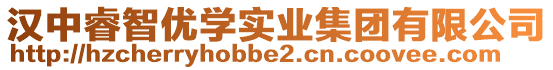 汉中睿智优学实业集团有限公司