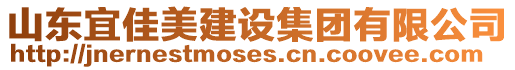 山東宜佳美建設集團有限公司