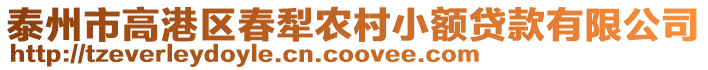 泰州市高港区春犁农村小额贷款有限公司