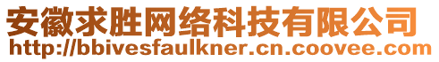 安徽求勝網(wǎng)絡(luò)科技有限公司