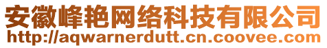 安徽峰艷網(wǎng)絡(luò)科技有限公司