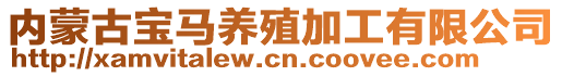 內(nèi)蒙古寶馬養(yǎng)殖加工有限公司