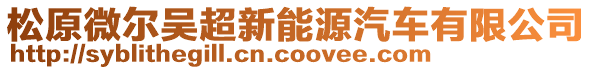 松原微尔吴超新能源汽车有限公司