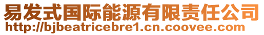 易發(fā)式國(guó)際能源有限責(zé)任公司