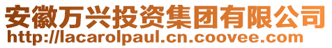 安徽萬興投資集團有限公司