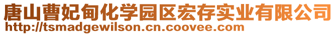 唐山曹妃甸化學園區(qū)宏存實業(yè)有限公司