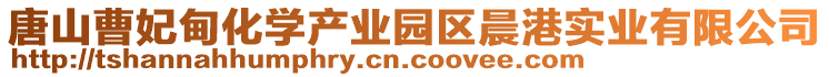 唐山曹妃甸化學(xué)產(chǎn)業(yè)園區(qū)晨港實(shí)業(yè)有限公司