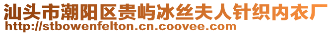 汕頭市潮陽區(qū)貴嶼冰絲夫人針織內(nèi)衣廠