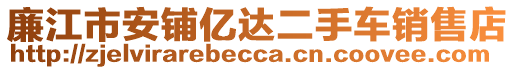 廉江市安鋪億達二手車銷售店