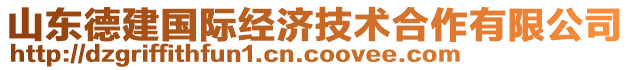 山東德建國(guó)際經(jīng)濟(jì)技術(shù)合作有限公司