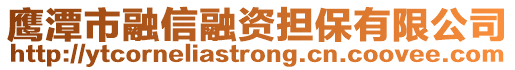 鷹潭市融信融資擔保有限公司