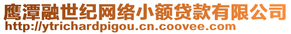 鷹潭融世紀(jì)網(wǎng)絡(luò)小額貸款有限公司