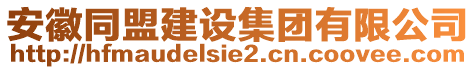 安徽同盟建設(shè)集團有限公司