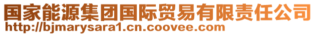 國(guó)家能源集團(tuán)國(guó)際貿(mào)易有限責(zé)任公司