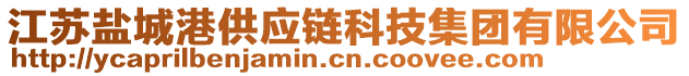 江蘇鹽城港供應(yīng)鏈科技集團(tuán)有限公司