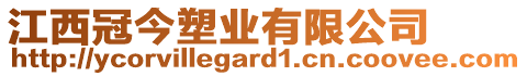 江西冠今塑業(yè)有限公司