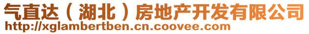 氣直達（湖北）房地產(chǎn)開發(fā)有限公司