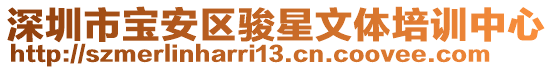 深圳市宝安区骏星文体培训中心