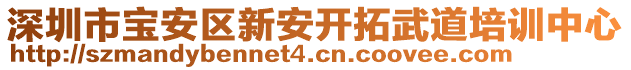 深圳市宝安区新安开拓武道培训中心