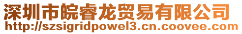 深圳市皖睿龙贸易有限公司