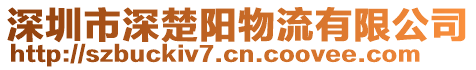 深圳市深楚陽物流有限公司