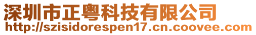 深圳市正粵科技有限公司