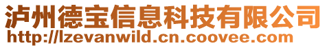 瀘州德寶信息科技有限公司