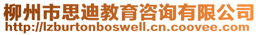 柳州市思迪教育咨詢有限公司