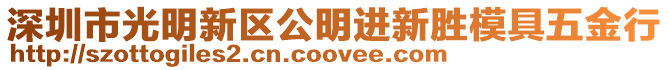 深圳市光明新區(qū)公明進新勝模具五金行