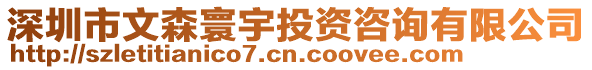 深圳市文森寰宇投資咨詢有限公司