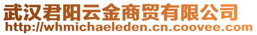 武漢君陽(yáng)云金商貿(mào)有限公司