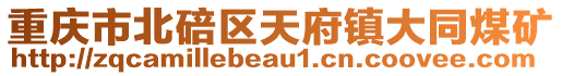 重慶市北碚區(qū)天府鎮(zhèn)大同煤礦