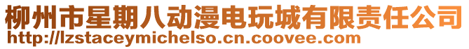 柳州市星期八動漫電玩城有限責任公司