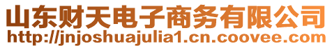 山東財(cái)天電子商務(wù)有限公司