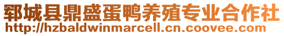 鄆城縣鼎盛蛋鴨養(yǎng)殖專業(yè)合作社