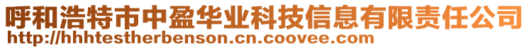 呼和浩特市中盈華業(yè)科技信息有限責任公司