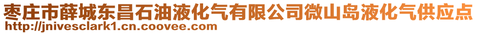 棗莊市薛城東昌石油液化氣有限公司微山島液化氣供應點