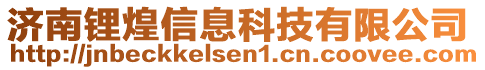 济南锂煌信息科技有限公司