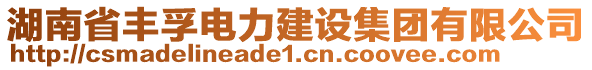 湖南省豐孚電力建設(shè)集團有限公司